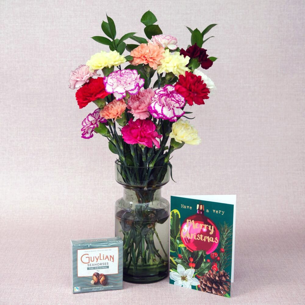 Christmas carnation gift set