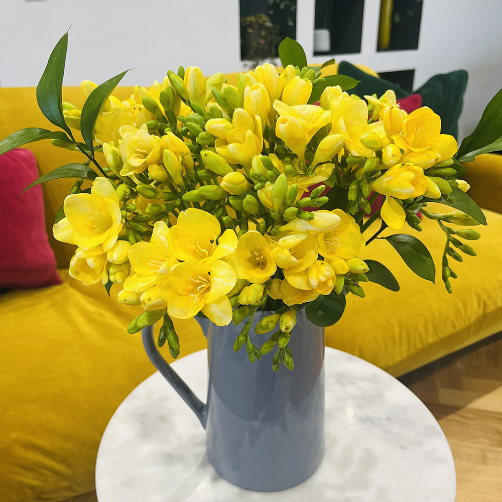 Blue vase of yellow freesia with yellow sofa in background